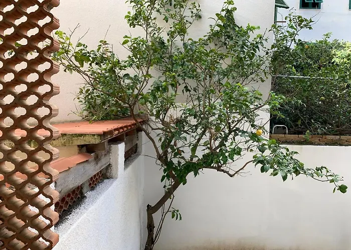 Pivarada 50 Διαμέρισμα