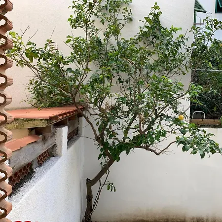 Pivarada 50 Lägenhet